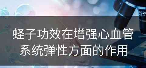 蛏子功效在增强心血管系统弹性方面的作用